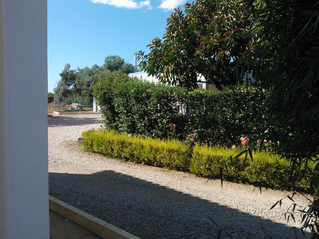 Quinta Da Moura Casa-De-Campo Guest House Tavira Exterior foto